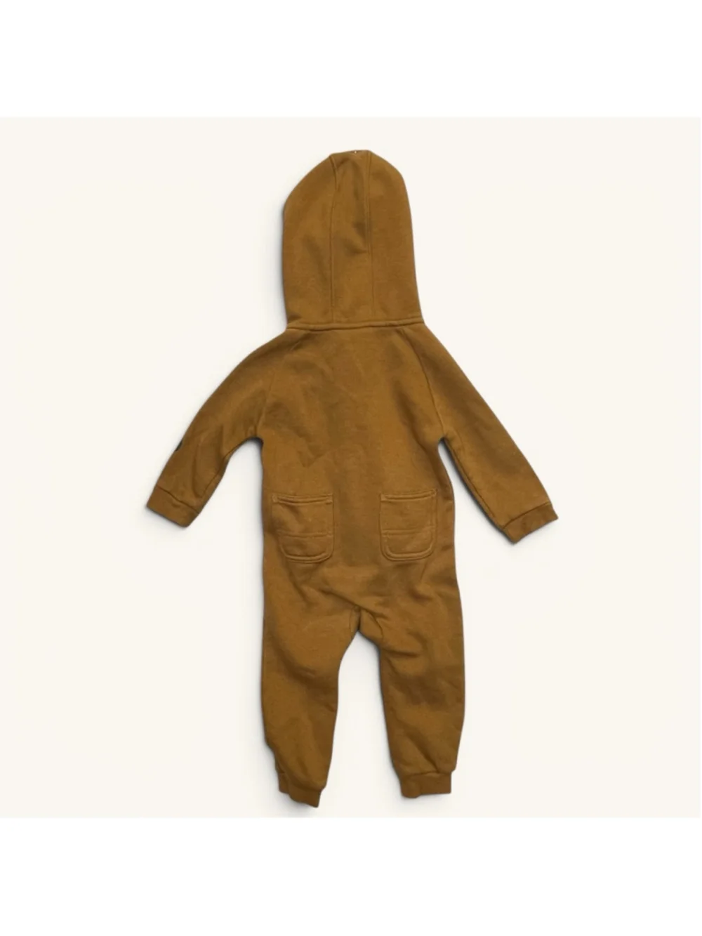 Carhartt noted hood